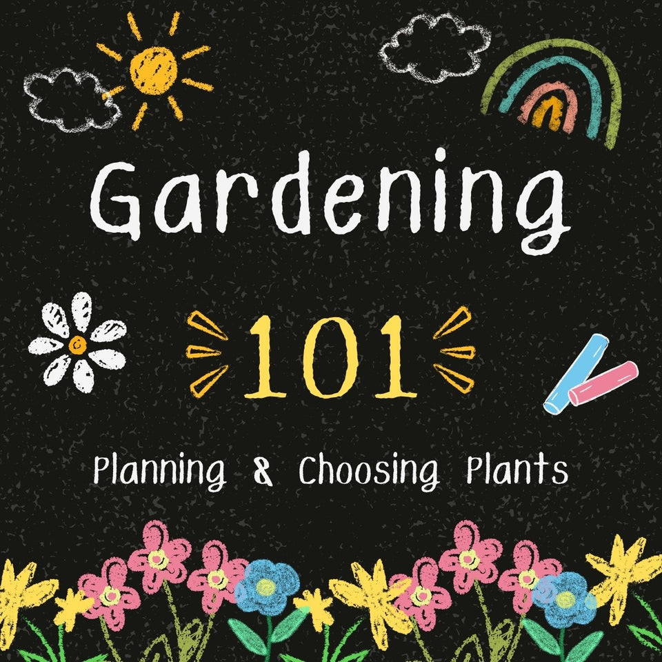 Gardening 101: Planning and Choosing Plants