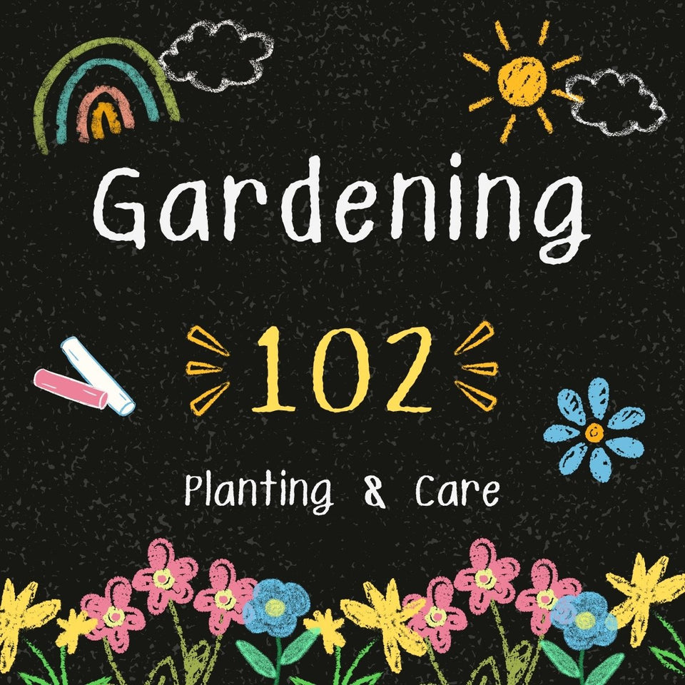 Gardening 102: Planting and Care